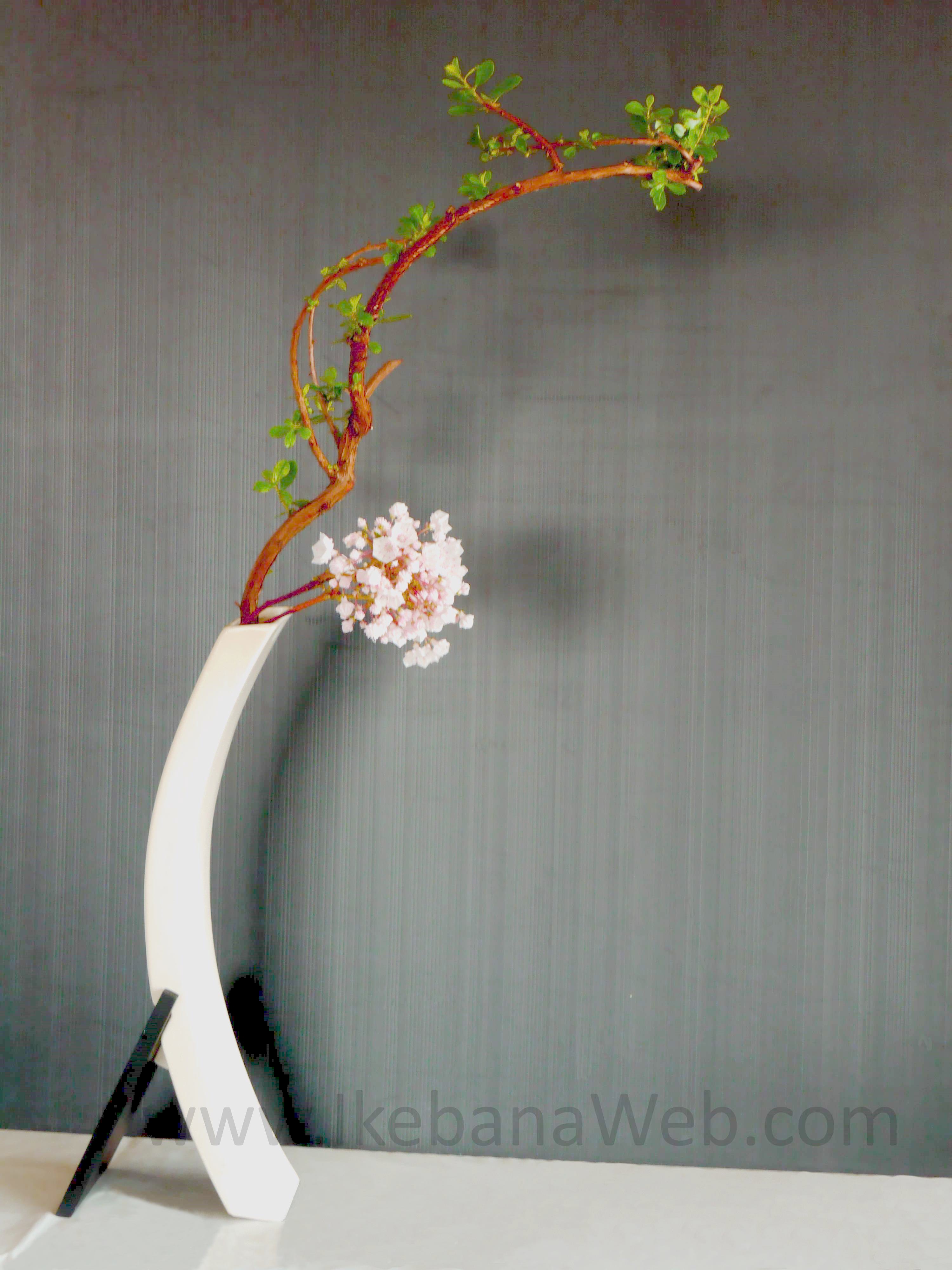 3 Main Elements of Ikebana Flower Arrangements: #1 Lines - Ikebana Web